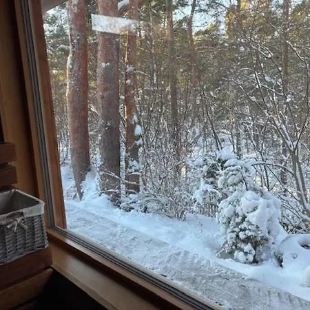 Natura Sauna Dom wakacyjny